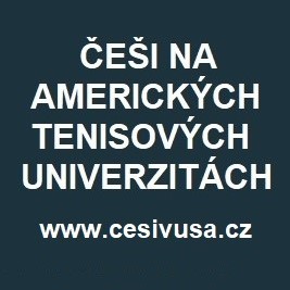 Češi v USA